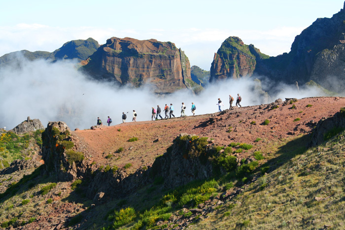 Kollegen arbeiten gemeinsam beim Workation-Retreat auf Madeira